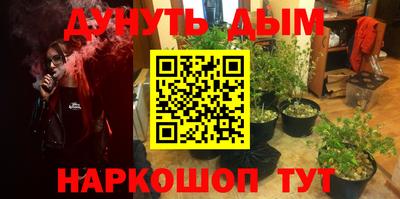 apvp Канаш