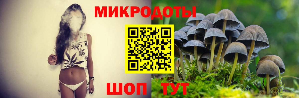 Псилоцибиновые грибы GOLDEN TEACHER  Вход с VPN  Кстово 